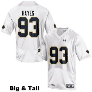 Notre Dame Fighting Irish Men's Jay Hayes #93 White Under Armour Authentic Stitched Big & Tall College NCAA Football Jersey VZJ5699WQ